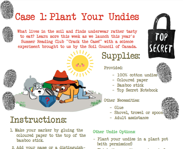 A screen shot of Plant Your Undies instructions for participants