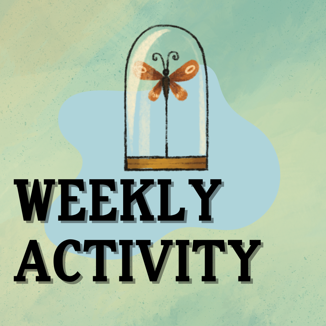 A teal background with an illustration with a dragonfly in a glass cloche. The text reads Weekly Activity