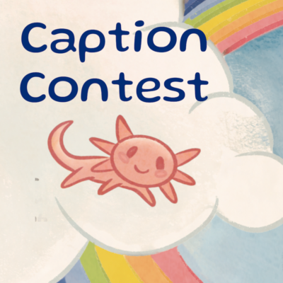 A puffy cloud in front of a colourful rainbow with a small, pink sketch of an axolotl in front of the cloud.