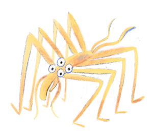 2026_Giant_Artic_Sea_Spider Yellow sea spider with four eyes
