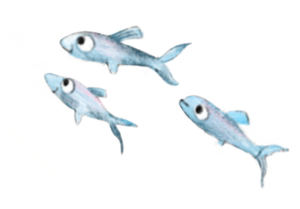Illustration of three small silver fish