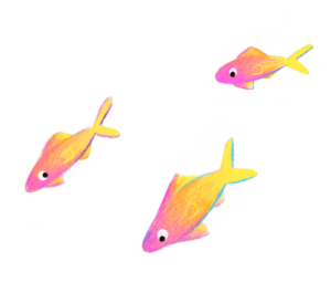Illustration of pink and yellow fish