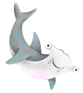 Illustration of a Hammerhead Shark