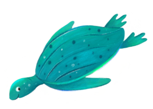 Illustration of a Leatherback Sea Turtle