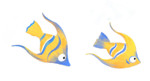 Illustration of two blue and yellow angel fish