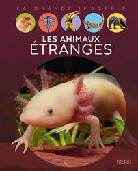  Les animaux étranges by Élisabeth Dumont-Le Cornec, 2021