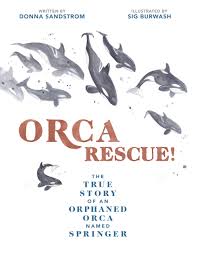 Orca Rescue!: The True Story of an Orphaned Orca Named Springer by Donna Sandstrom, 2021