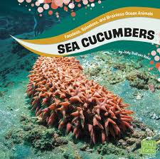 Sea Cucumbers by Jody Sullivan Rake, 2017 